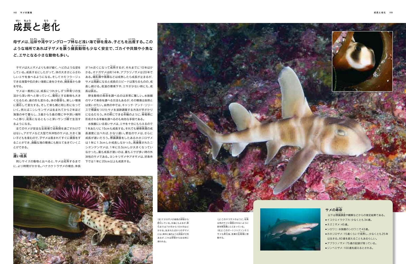 世界サメ図鑑 スティーブ パーカー 仲谷 一宏 櫻井 英里子 配送料無料