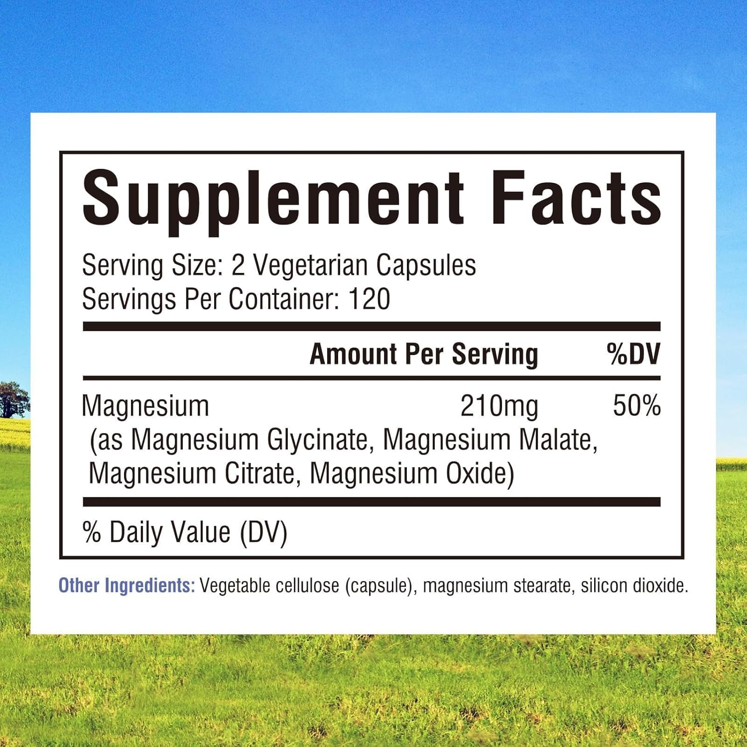 Innate Vitality Magnesium Complex - Magnesium Glycinate, Malate, Citrate, Oxide, 4-in-1 Formula for Energy, Bones & Nerves, Vegan & No Gluten, 240 Capsules