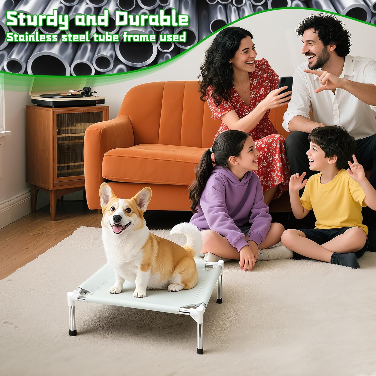 Elevate Your Pup