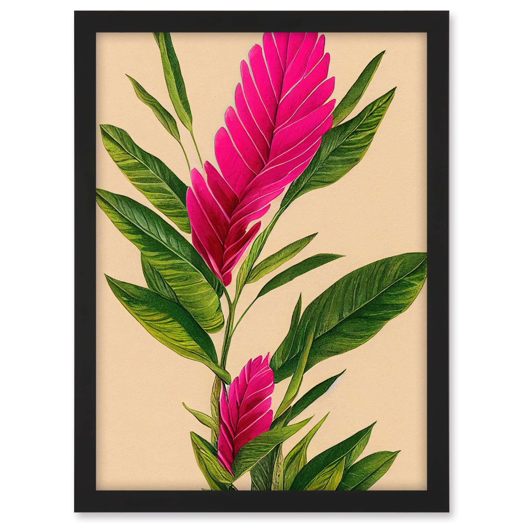 Wee Blue Coo Tropical Hawaiian Botanical Exotic Pink Floral illustration Artwork Framed A3 Wall Art Print