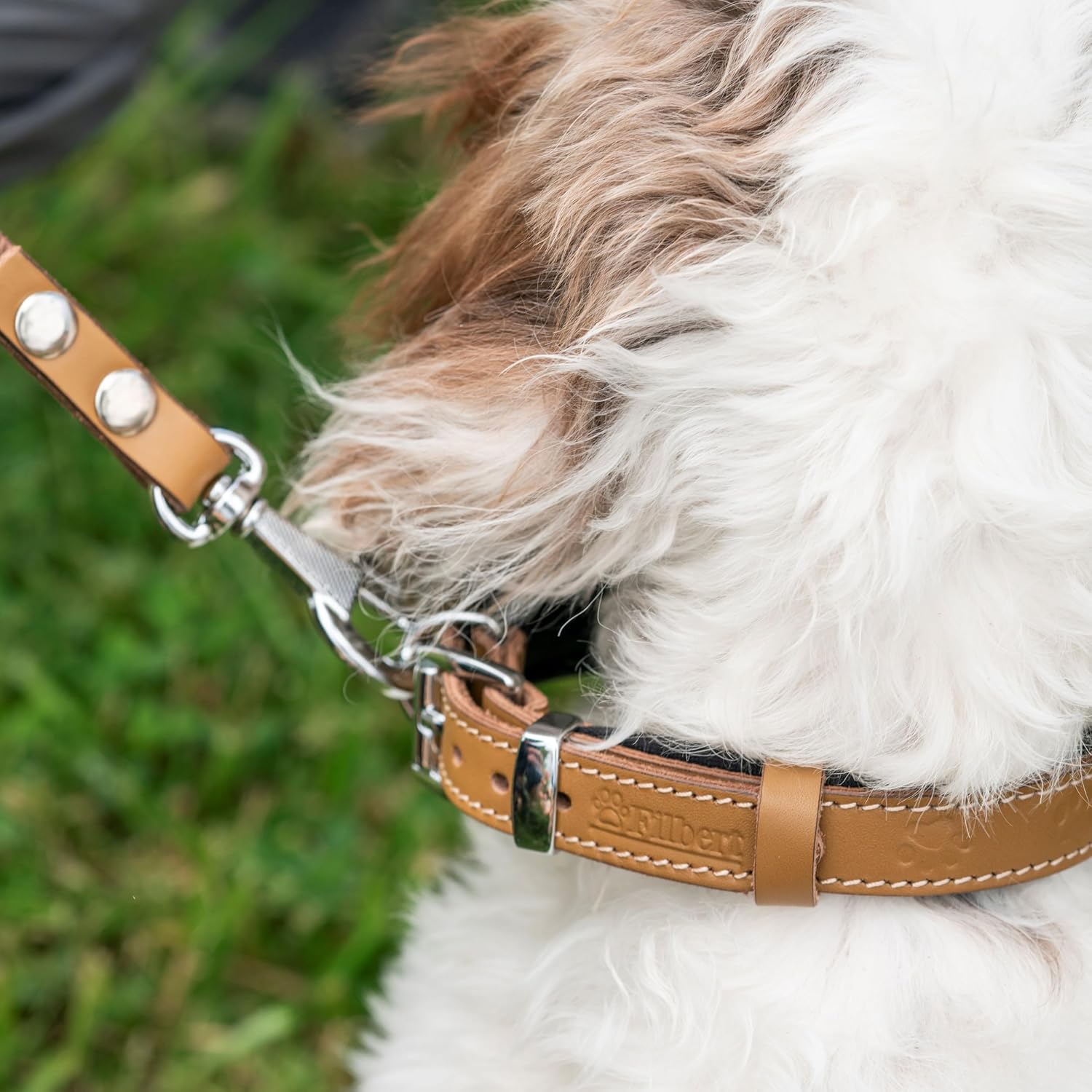 Filbert Genuine Leather Dog Leash, Strong Leather Leash for Small, Medium, Large Breed Dogs, 5.3ft, Soft and Comfortable, Durable, Heavy Duty, Camel
