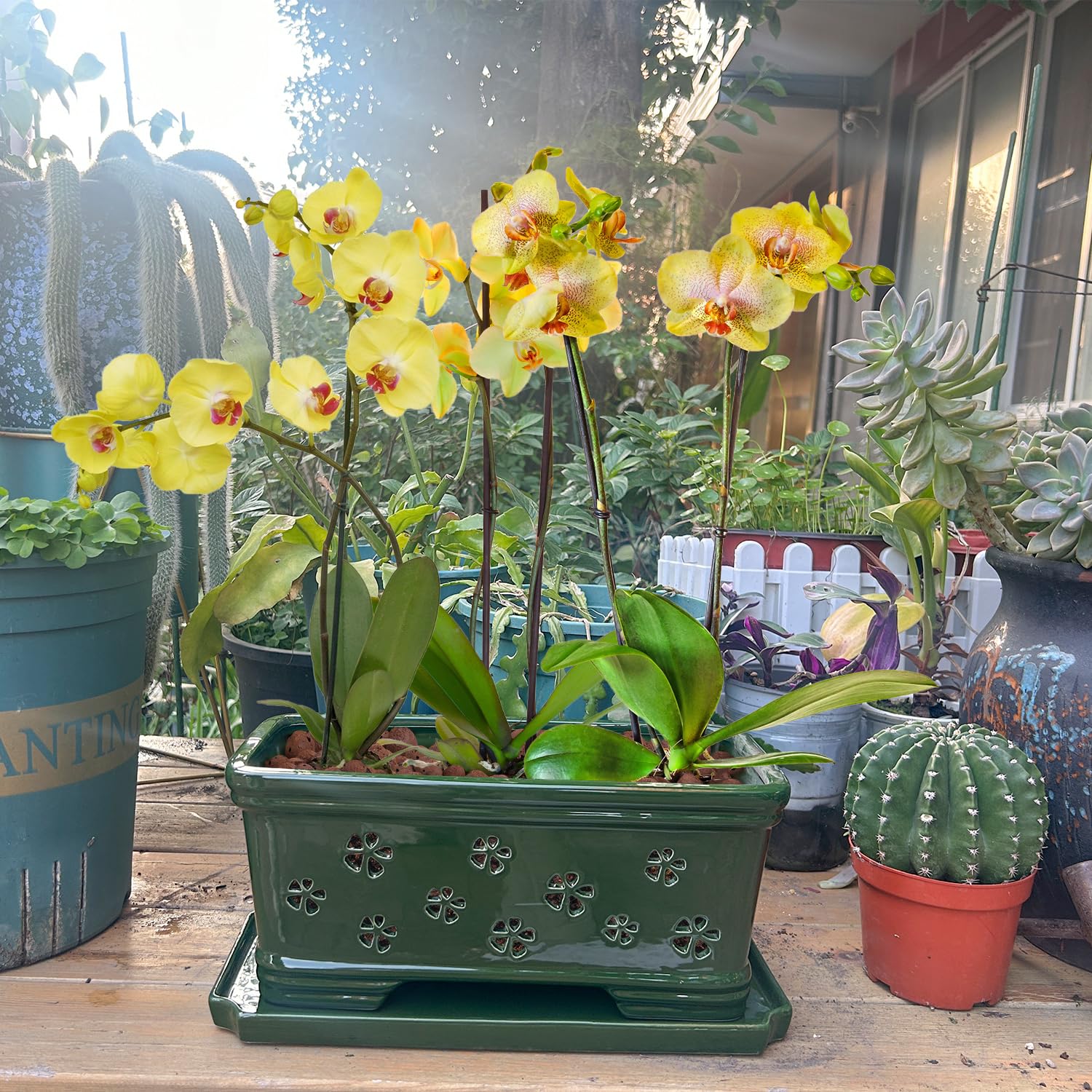 Grüner Keramik-Orchideentopf mit Löchern zum Umtopfen und Belüften, für drinnen und draußen, 30,5 cm