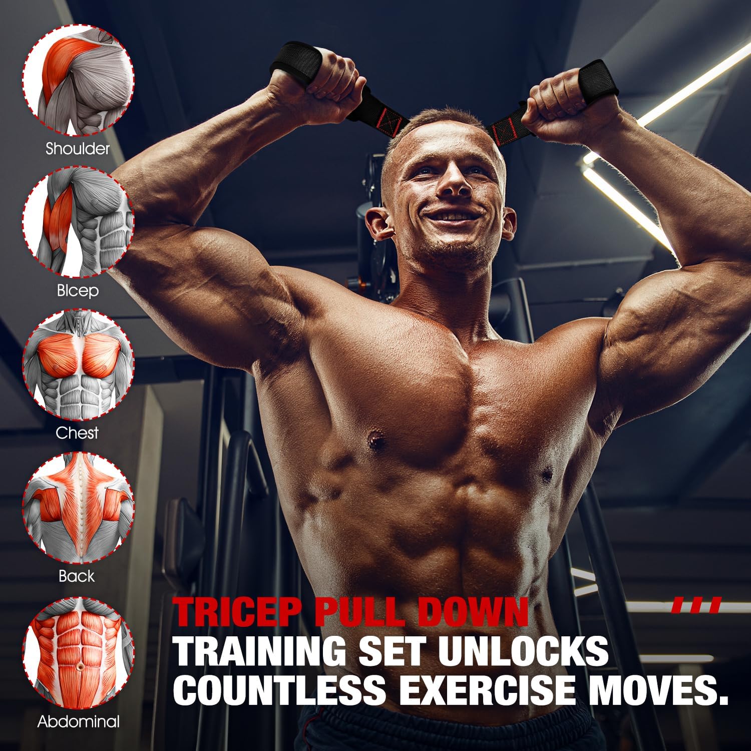 HOXWC Resistance Bands with Handles, Exercise Bands with Door Anchor for Working Out, Home Gym Workout Equipment for Push Downs, Tricep, Biceps, Arms, Back, Chest, Abs, Shoulder Training