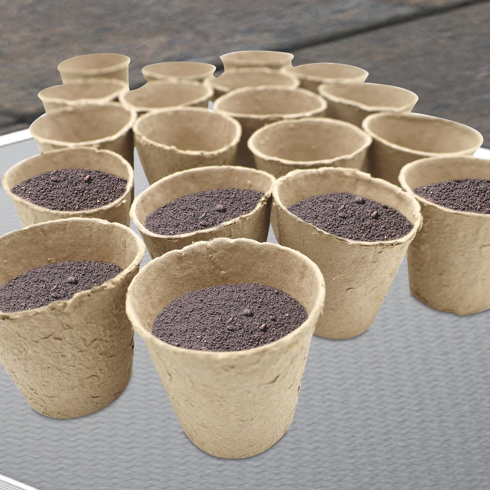 60 Piezas Pequeñas macetas de semillas de fibra biodegradables para plántulas con 120 Etiquetas de Plantas de Plástico