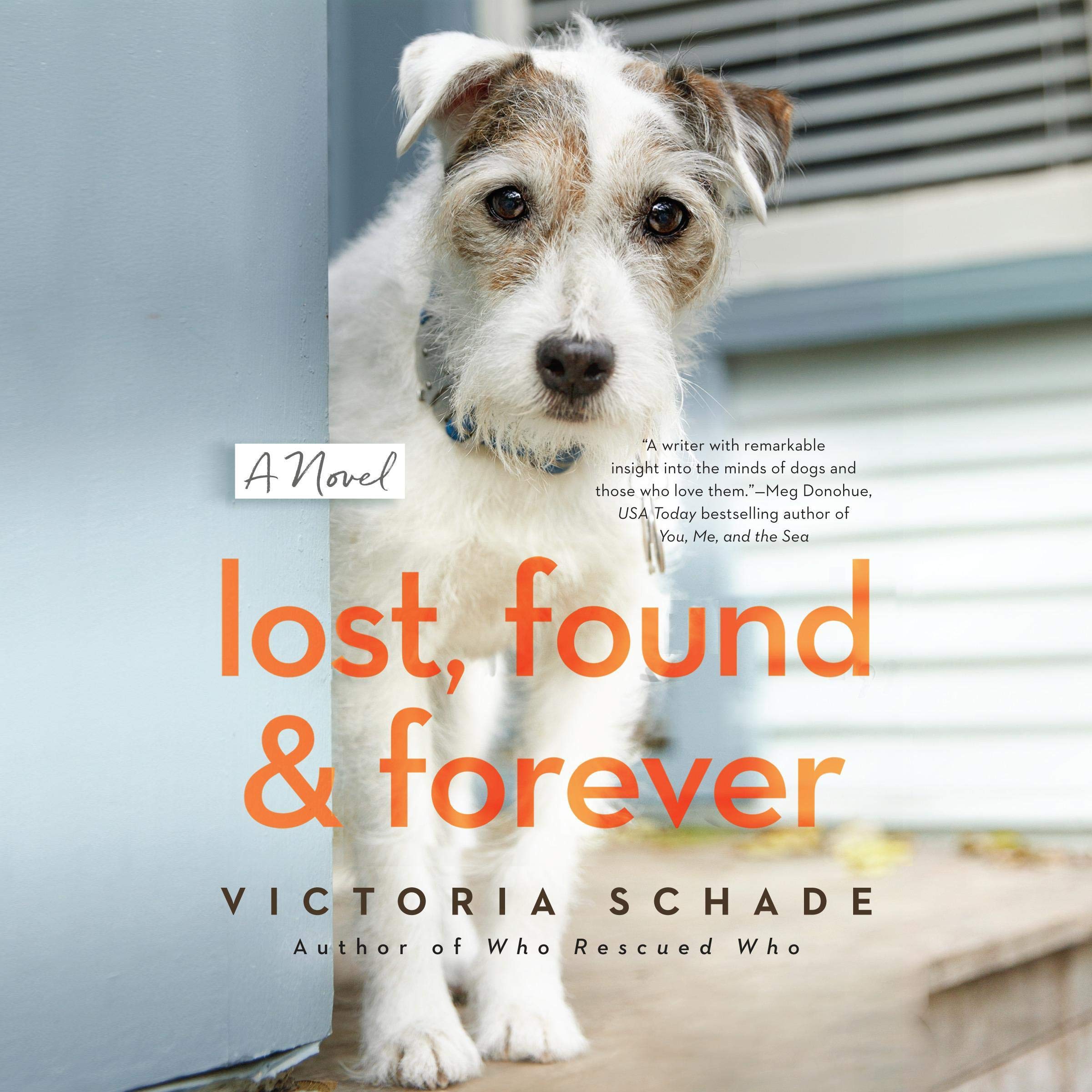 Cover art for Lost, Found, and Forever