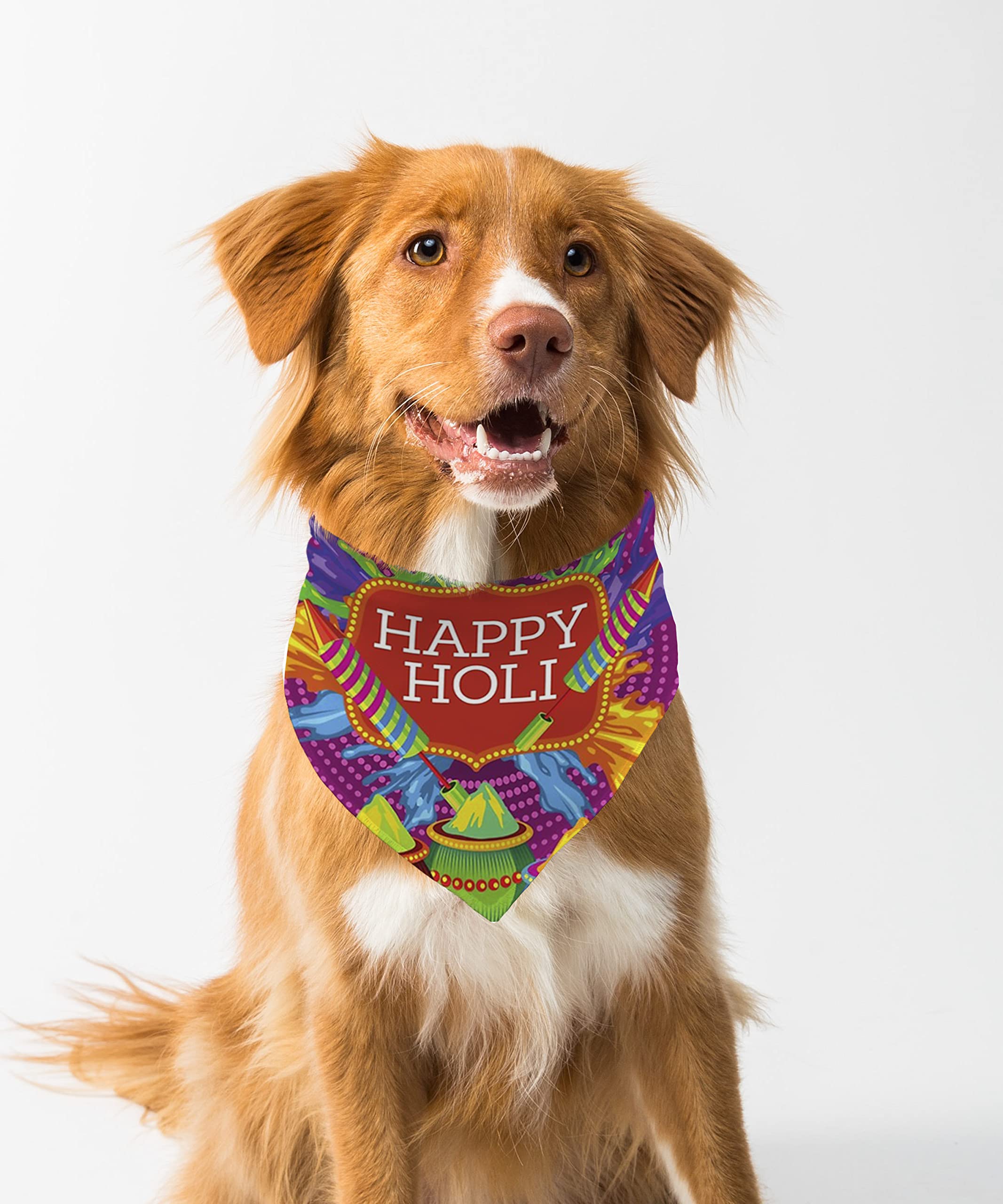 Farnup Adjustable & Comfortable Dog Bandana, Happy Holi Design 11, Graphic Printed Holi Design Bandana for Dogs | Dog Scarf, Accessory | Gifts for Dogs-S/M (B0BWWV7Q1V) Amazon Price History, Amazon Price Tracker