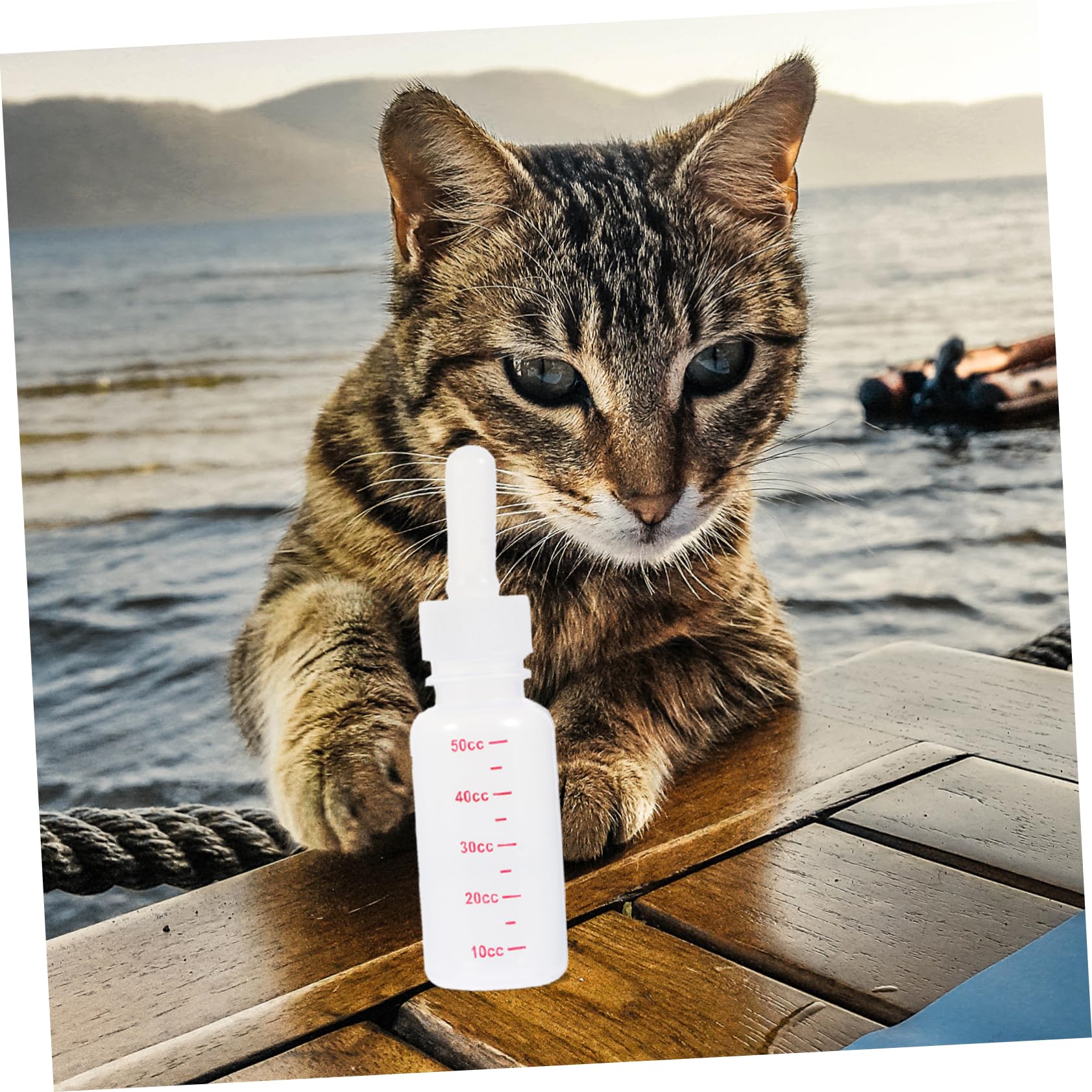 Abaodam Pet Bottle Set Pieces Small Milk Bottles for Dogs and Cats Portable Nurser Scale Leakproof Accessories