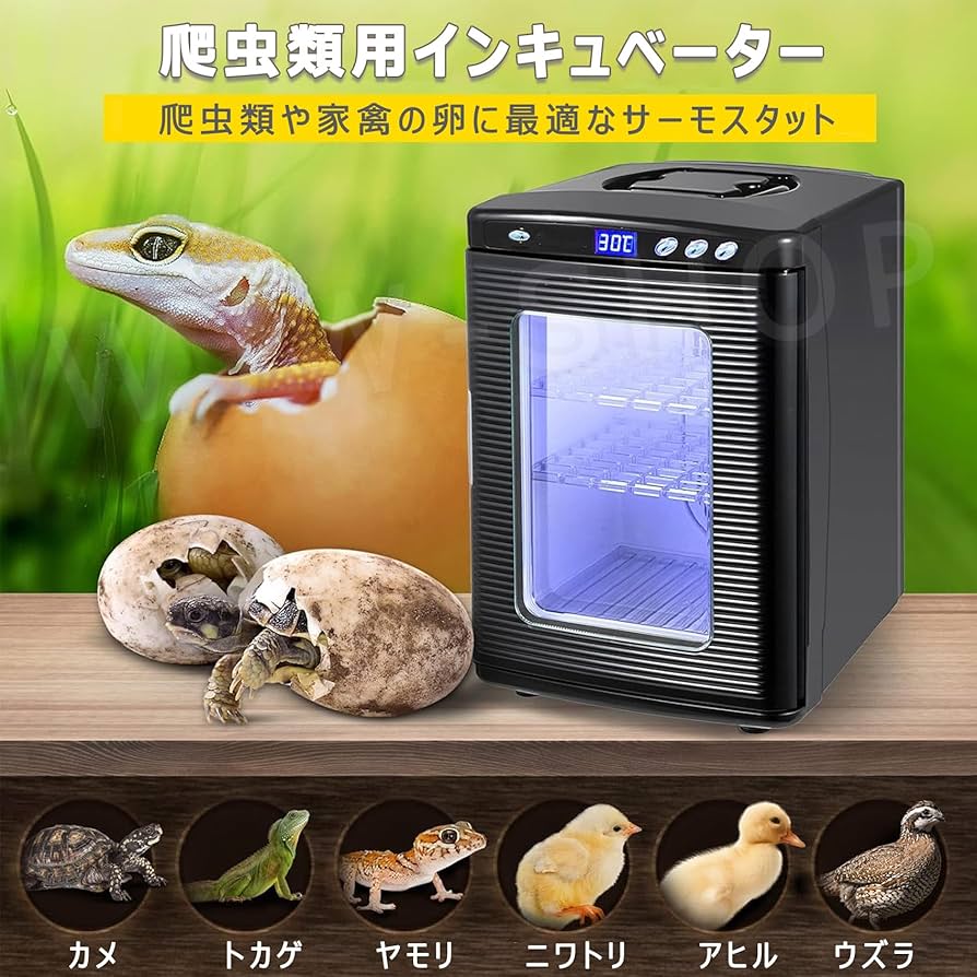 Amazon.co.jp: 爬虫類インキュベーター 25L 自動孵卵器 30-40枚入卵OK