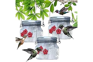 ShareM Mason Jar Hummingbird Feeder - 3Pcs Mason Jar Hummingbird Feeder with 3 Feeding Ports