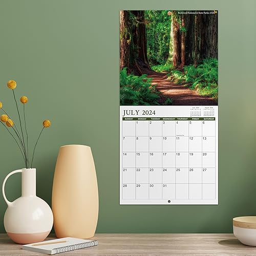 Miniatura 7 de Calendario 2024-2025  Calendario mensual de pared cuadrado 2024-2025, 18 meses desde julio de 2024 a diciembre de 2025, 12 x 24 pulgadas (abierto),