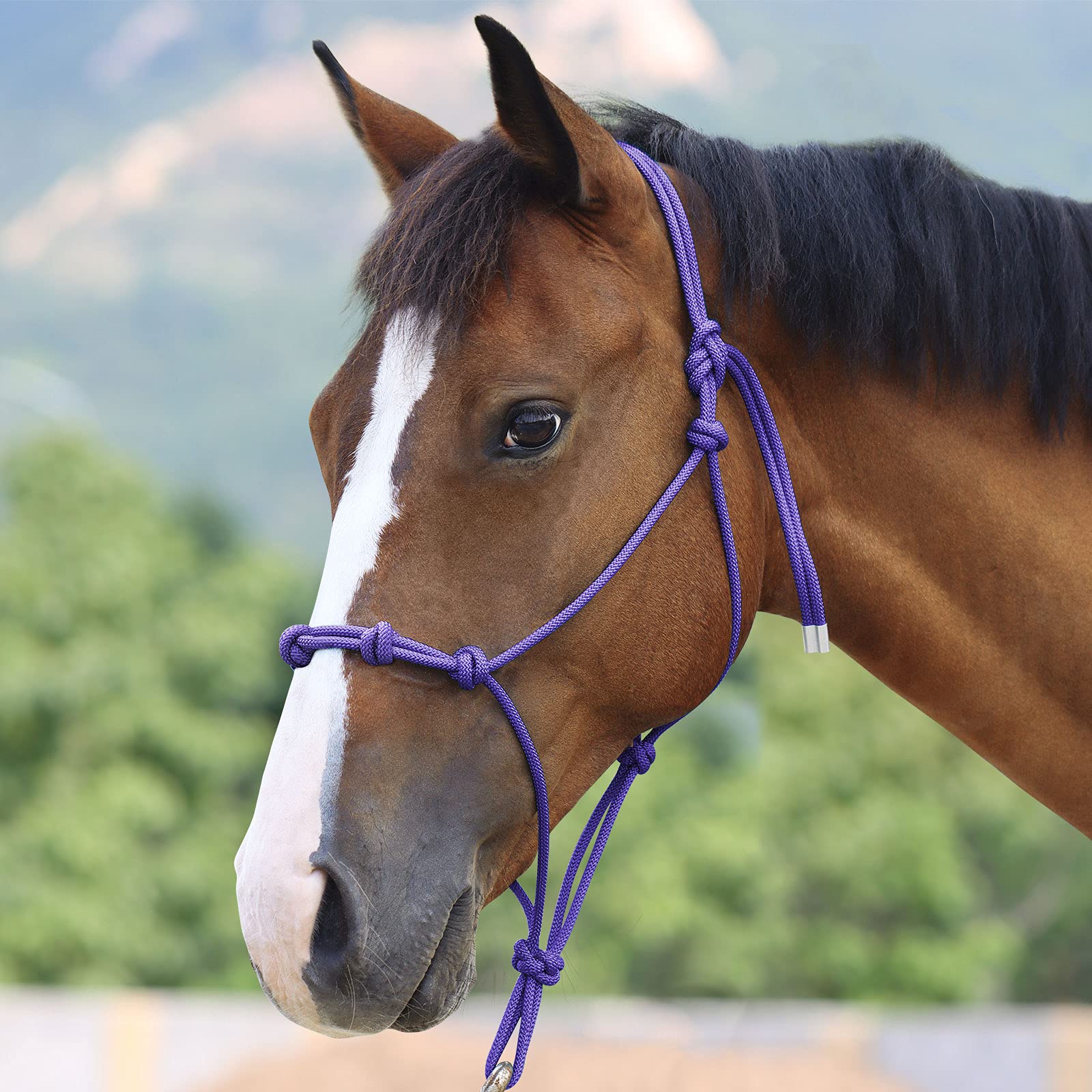 Snapklik.com : Harrison Howard Super Sturdy Horse Rope Training Halter