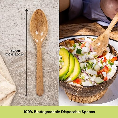 Miniatura 8 de Tenedores 100% biodegradables hechos de fibras vegetales, 100 tenedores ecológicos de 6.7 pulgadas de largo, resistentes y sin astillas, cubiertos