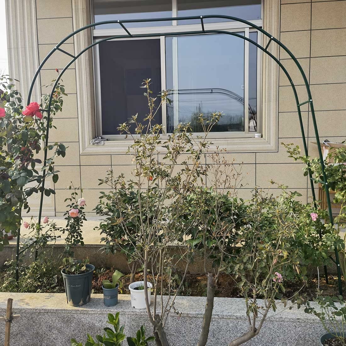 Amazon.co.jp: 高さ200/220/230cm 庭ため金属アーチ アーチ型 トレリス