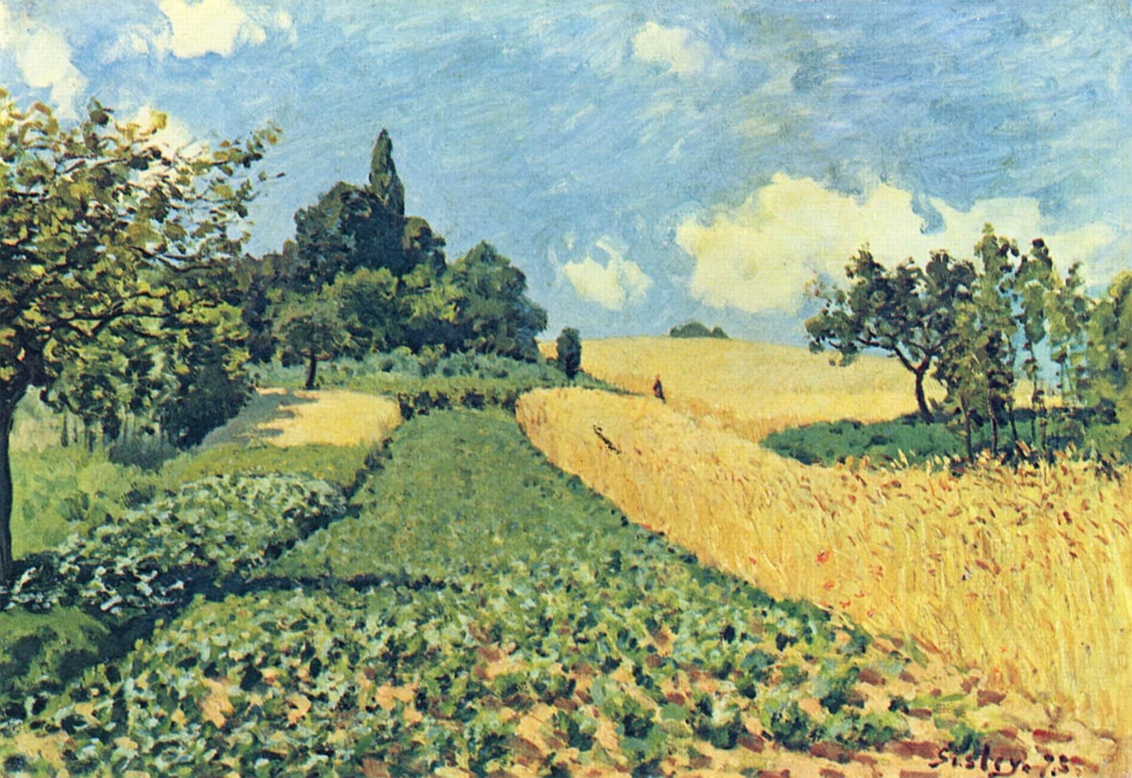 ARTXLXXBN Famous Print Painting Colorful Art Print Grain Fields on the of Argenteuil by Alfred Sisle Canvas Art Decorations for Home Decor 60x90cm