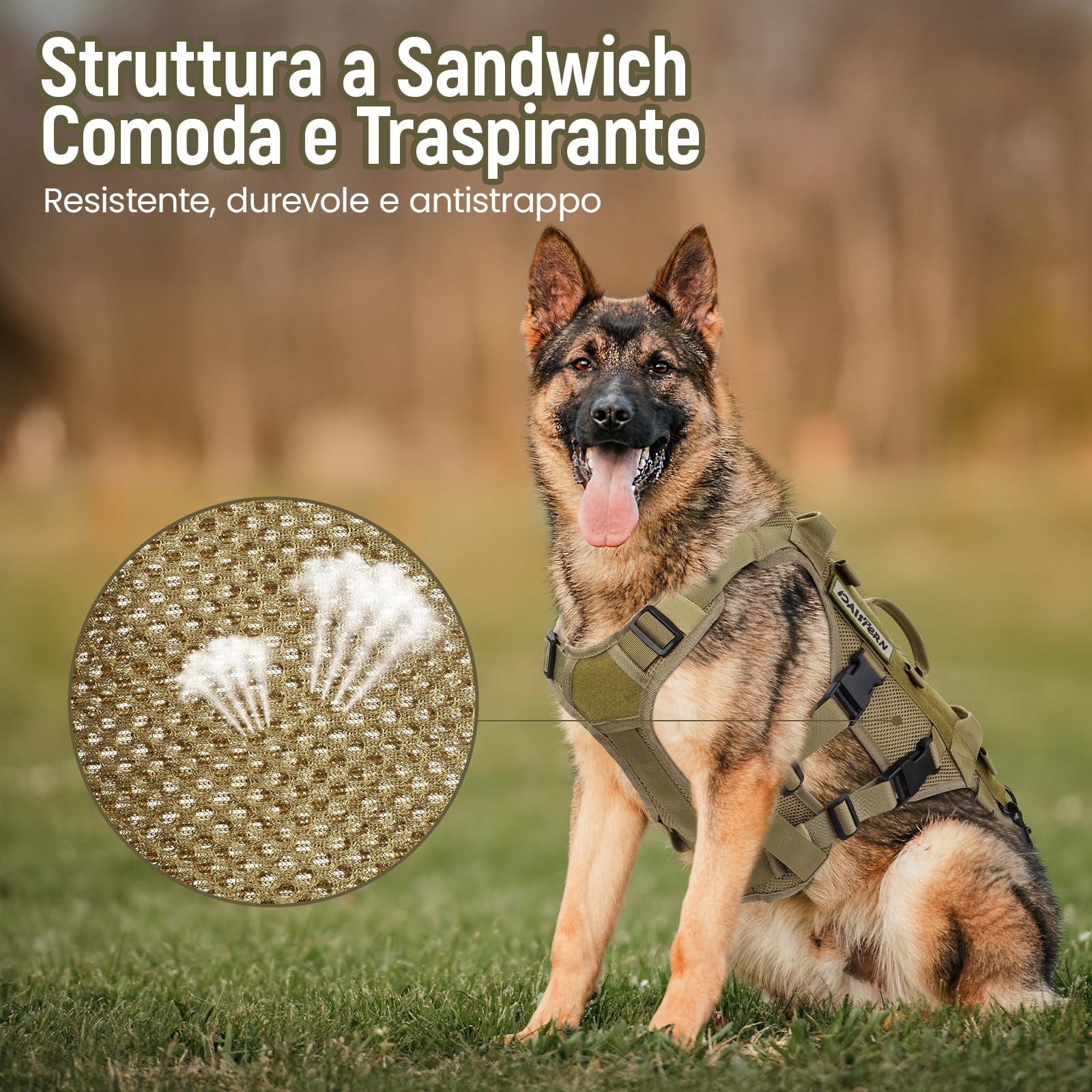 DAISTERN Pettorina Tattica Cane Imbracatura per Cani Taglia Media Grande di Supporto e Sollevamento con 1000D Nylon Sandwich Mesh, 3 Maniglie&Cinghie Supporto e Gambe Posteriori Rimovibili Regolabili
