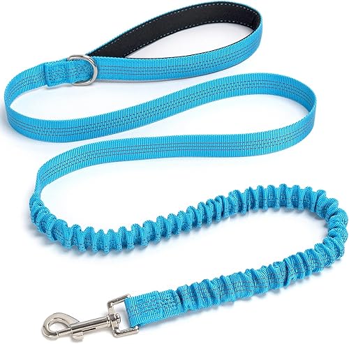 Correa elástica para perro, correa de nailon reflectante y absorbente de golpes, entrenamiento antitirones para perros pequeñosmedianos, 2 pulgadas