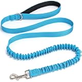Bungee Dog Leash- 5FT Shock Absorbing & Reflective Nylon Leash | Anti-Pull Training for Small/Medium Dogs | 2cm Wide, 6 Colors (Teal)