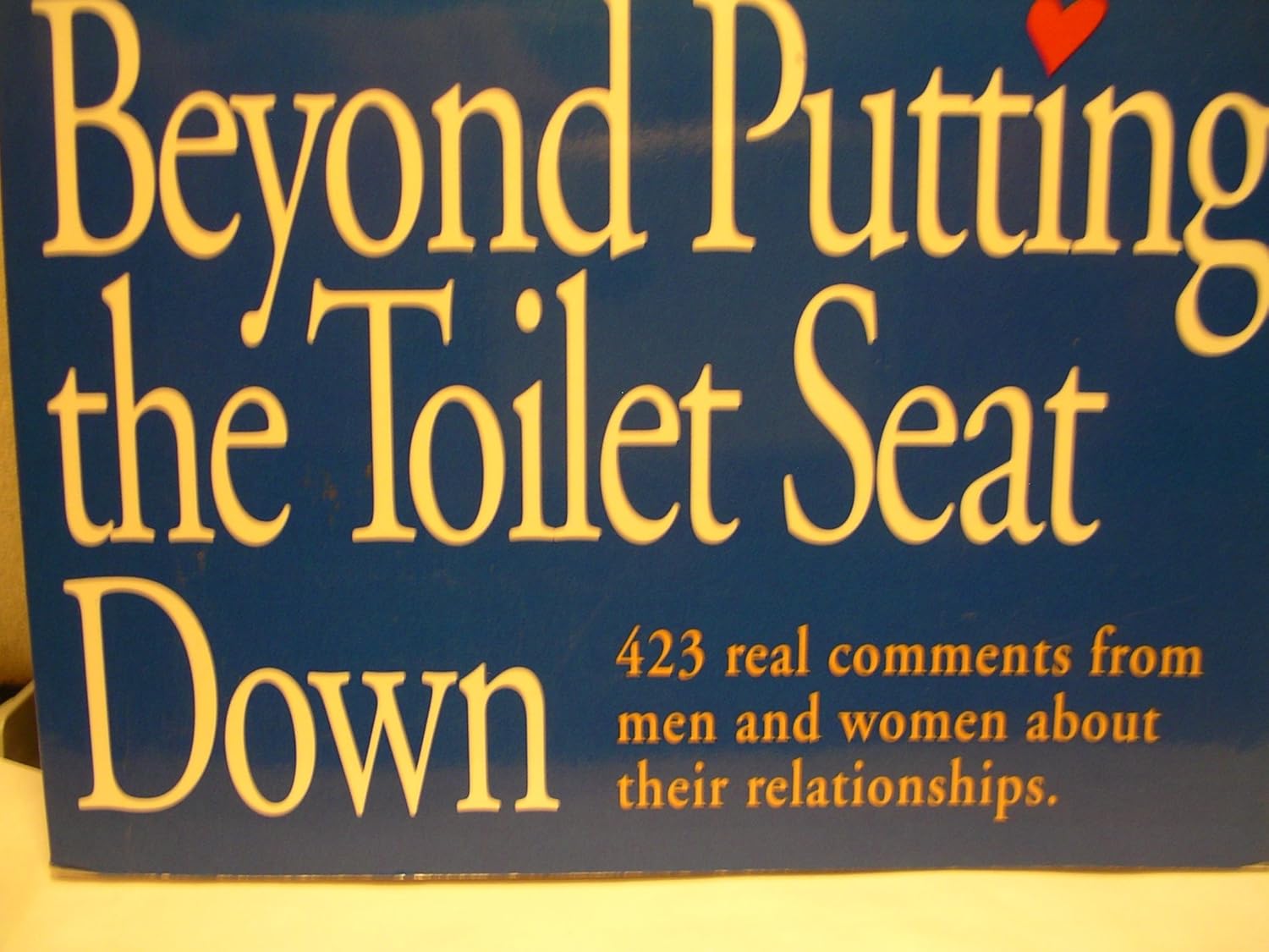 Beyond Putting the Toilet Seat Down 423 Real Comments from Men and