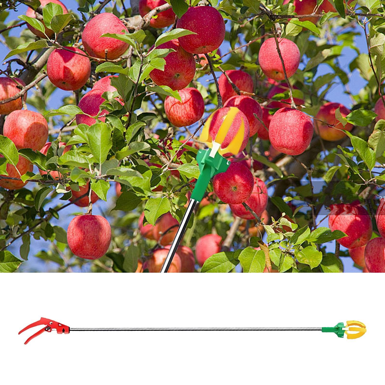 Raccoglifrutta,Attrezzo Telescopico a Tre Artigli per Raccogliere Frutta - Assistente Manuale Regolabile per Raccolto in Giardino e Frutteto