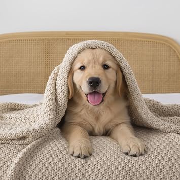WDCOZY Chunky Cable Knit Throw Blanket Super Soft Warm Knitted Throw Blanket for Couch, Sofa, Chair, Bed Lightweight Breathable Cozy Comfortable Home Decorative Camel Tan Beige 60x80 Inches