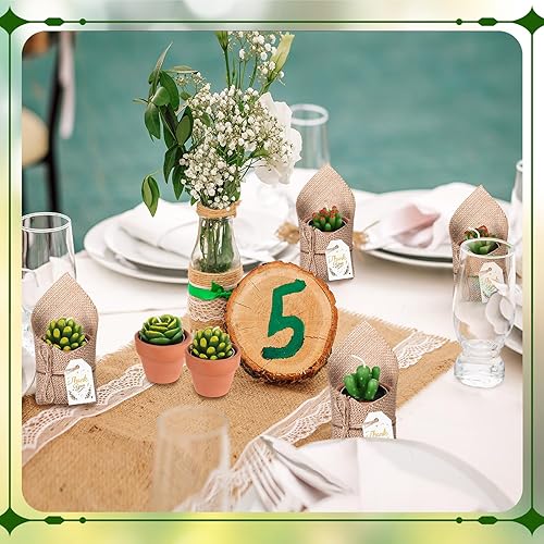 Miniatura 7 de MTLEE Juego de 12 velas de cactus suculentas con mini macetas de terracota, bolsas de arpillera natural, etiqueta de agradecimiento y cuerdas,