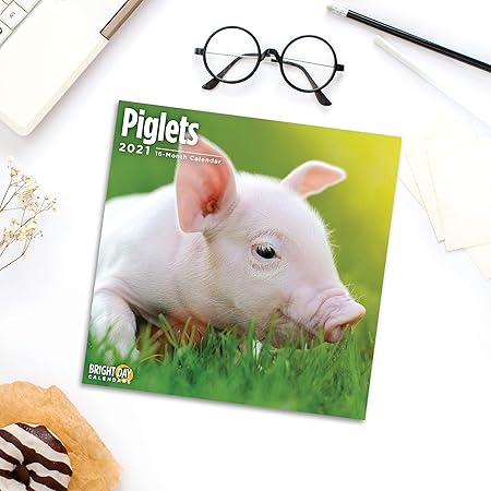 Amazon Bright Day Calendars 21ピッグレットの壁カレンダー バイ 明るい日 12 X 12 インチ かわいいベビーファーム納屋動物 手帳 カレンダー 文房具 オフィス用品 Amazon Bright Day Calendars 21ピッグレットの壁カレンダー バイ 明るい日 12 X 12 インチ かわいいベビーファーム納屋動物 手帳 カレンダー 文房具 オフィス用品