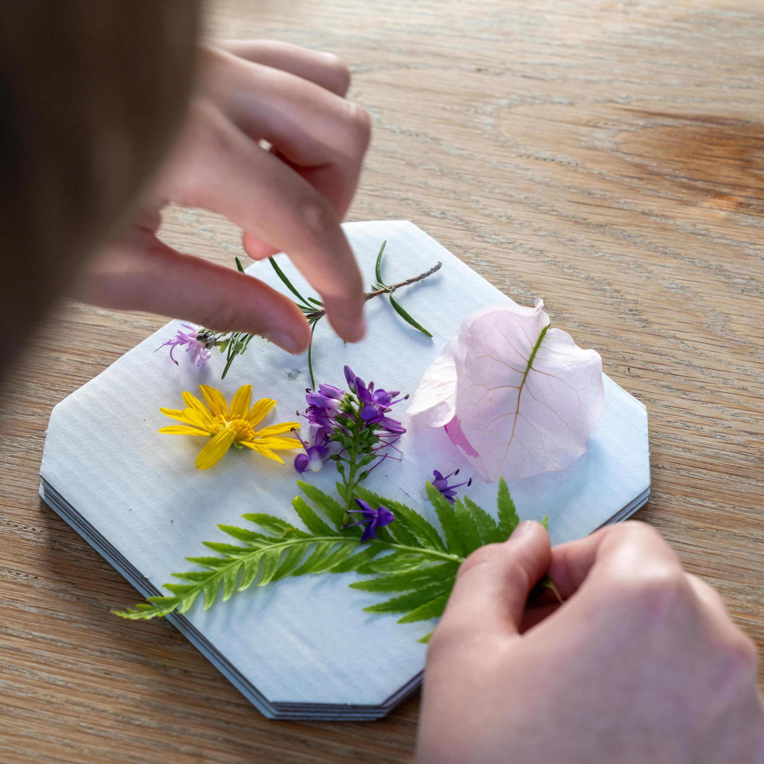 Die Spiegelburg - Kit de construction de presse à fleurs – Nature Zoom – 18392 – Presse à fleurs pour