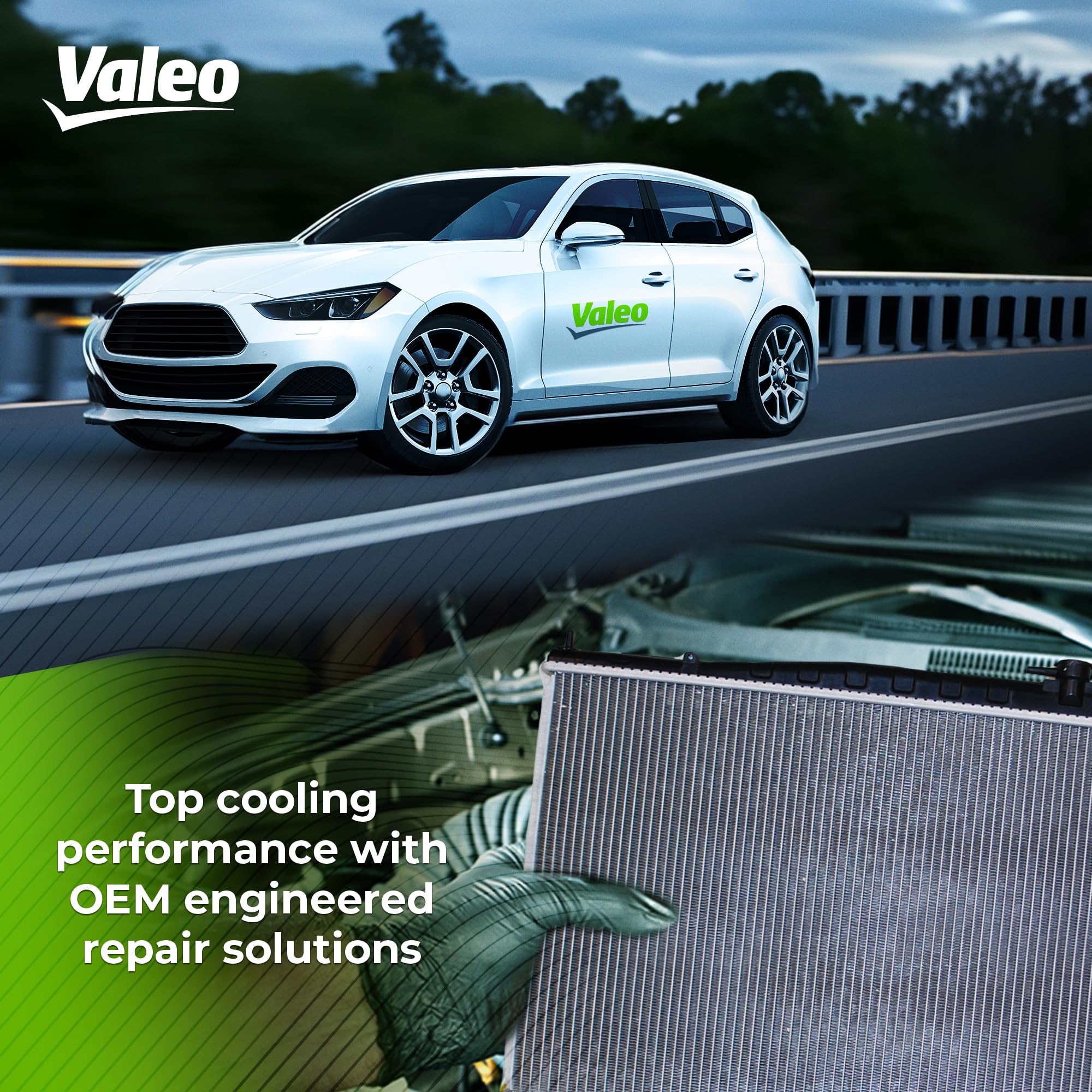Valeo 696349 Ventola di raffreddamento motore