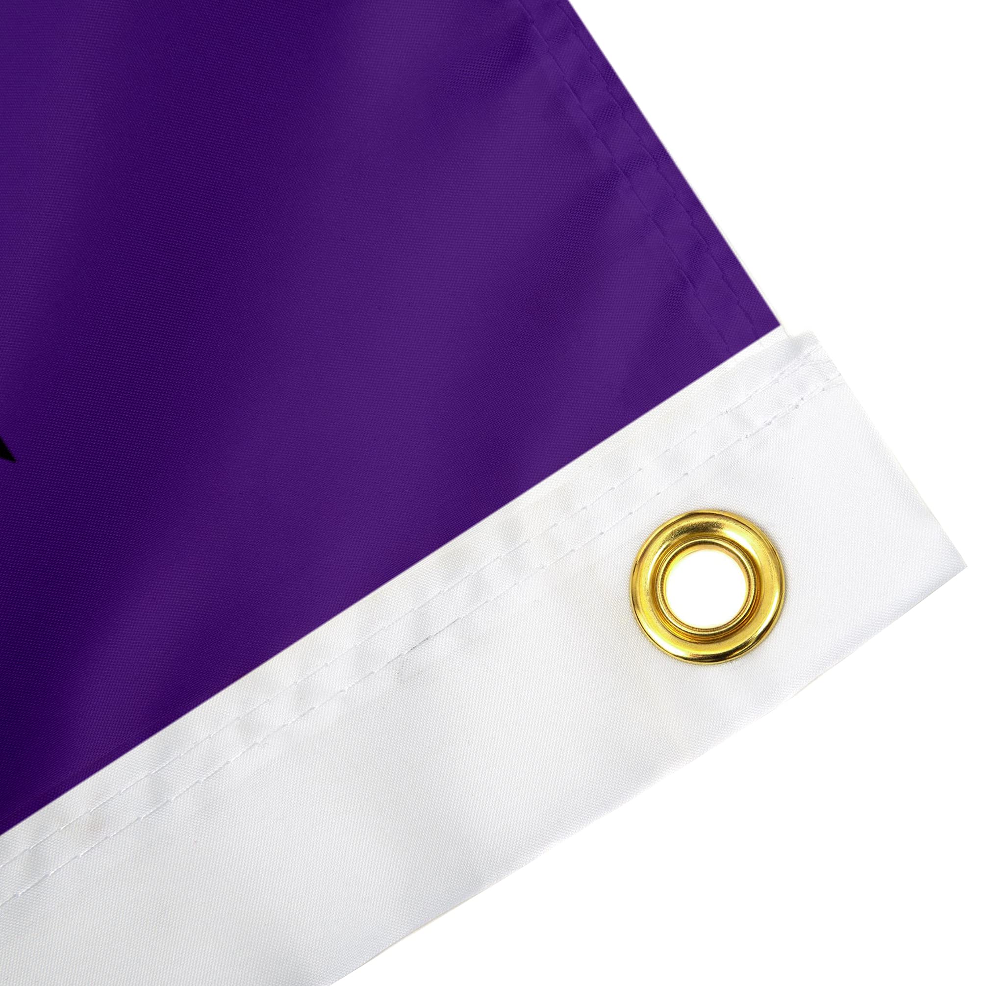 Desert Cactus ECU East Carolina University Flag – 3x5 Feet Polyester Pirates Flag (Indoor/Outdoor)