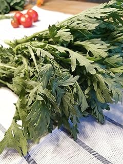 Hundredfold Garland Chrysanthemum Shungiku 1000 Seeds - Tong Hao, Chop Suey Green, Crown Daisy, Non-GMO Aromatic Asian Green