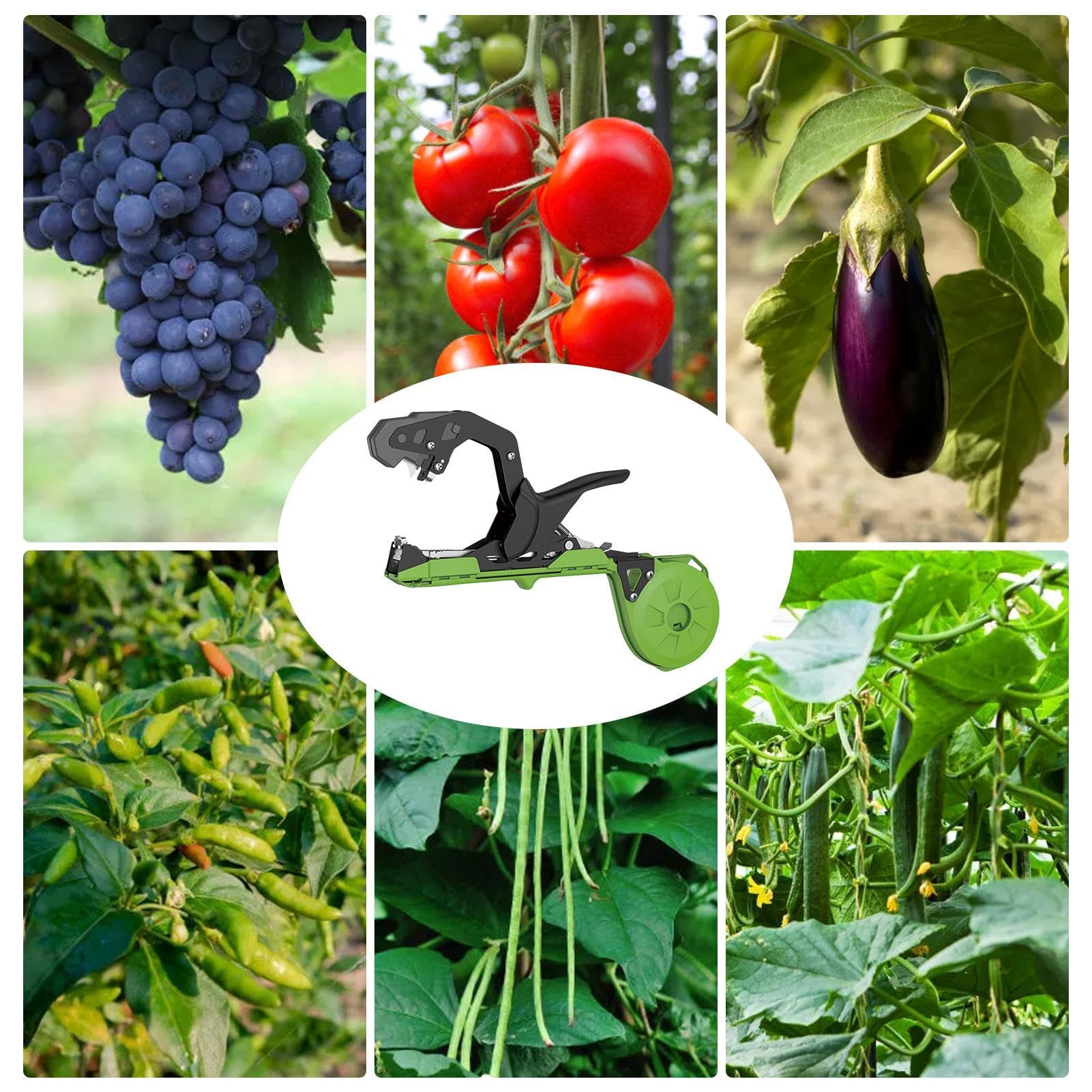 Outils coniques de jardin – Machine à ruban adhésif de jardin | Outils de jardinage portables pour attacher des , ruban adhésif pour les agriculteurs, raisins, | Outil à Ruban de Jardinage Pour Tomates, Raisins, Légumes, Concombres, Poivrons, Fleurs,