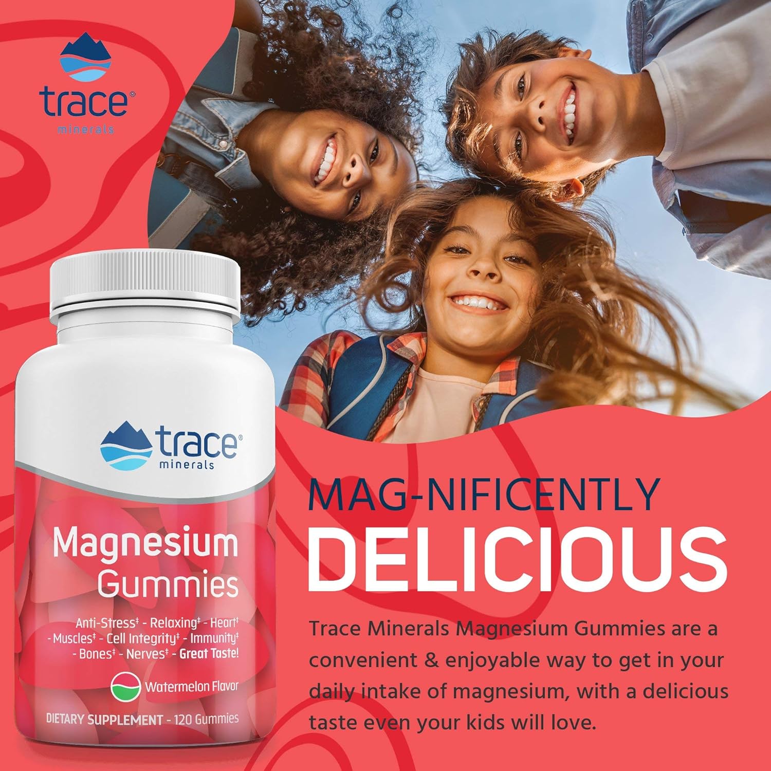Magnesium Stress Relief Gummies (120 Ct) | Easy to Take Magnesium Citrate | Natural Calming Sleep Aid, Muscle Relaxer, Mood & Digestive Support Supplement | Great for Kids & Adults (Watermelon Flavor) : Health & Household