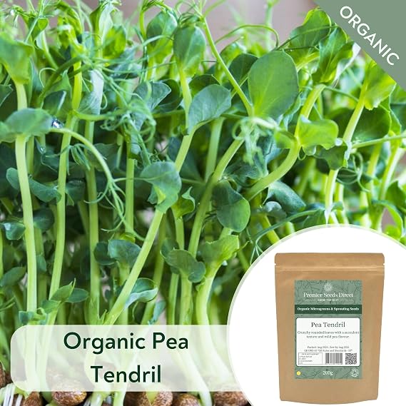 PREMIER SEEDS DIRECT - MICROGREEN/Sprouting Seeds - Pea Tendril - Organic (40 Grams)