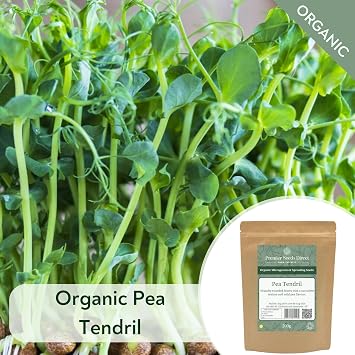 PREMIER SEEDS DIRECT - MICROGREEN/Sprouting Seeds - Pea Tendril - Organic (40 Grams)
