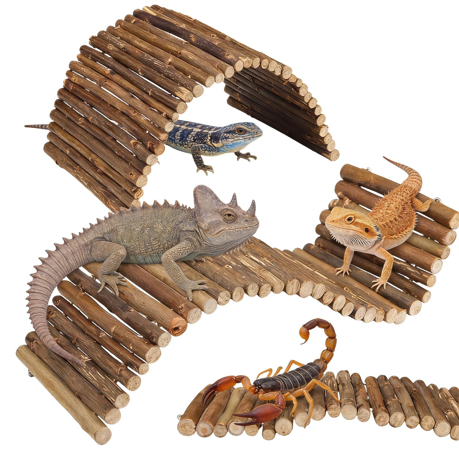 Bearded Dragon Accessories, 2 Pieces Set Measuring 20 x 10 cm, 30×12cm, Reptile Hide and Tortoise Hide, Willow Branch Fence Enclosure, Natural Habitat Enhancement