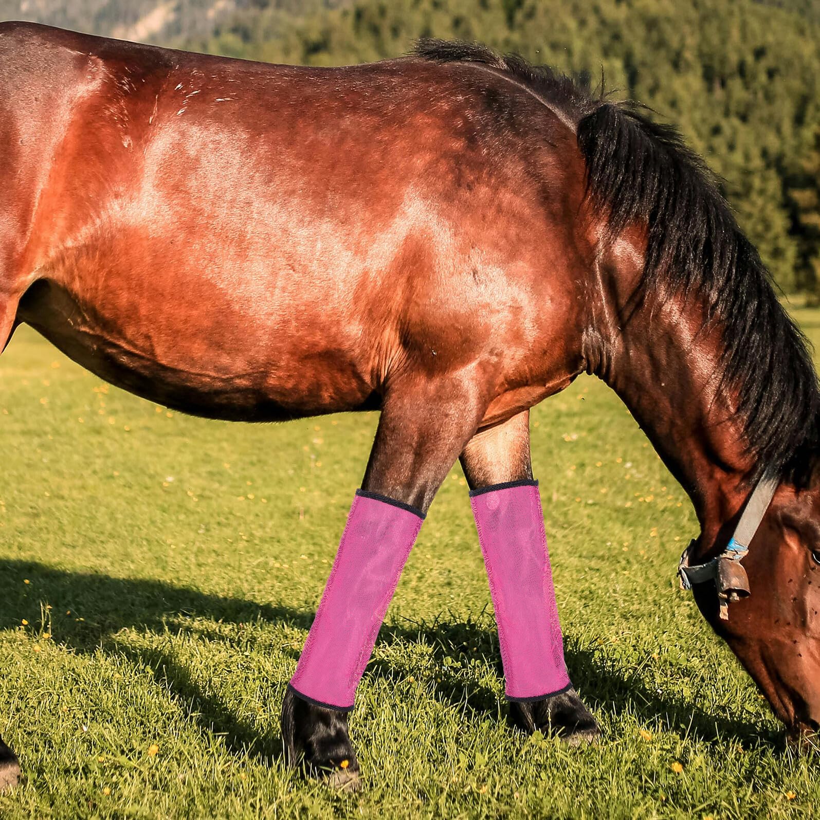 Gatuida Protezione le Gambe del Cavallo a Rete Traspirante 4 Pezzi, Design Elastico Leggero per Sessioni di Allenamento All'aperto