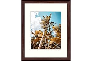 11 x 14 Photo Frame with Mat for 8 x 10 Display,...