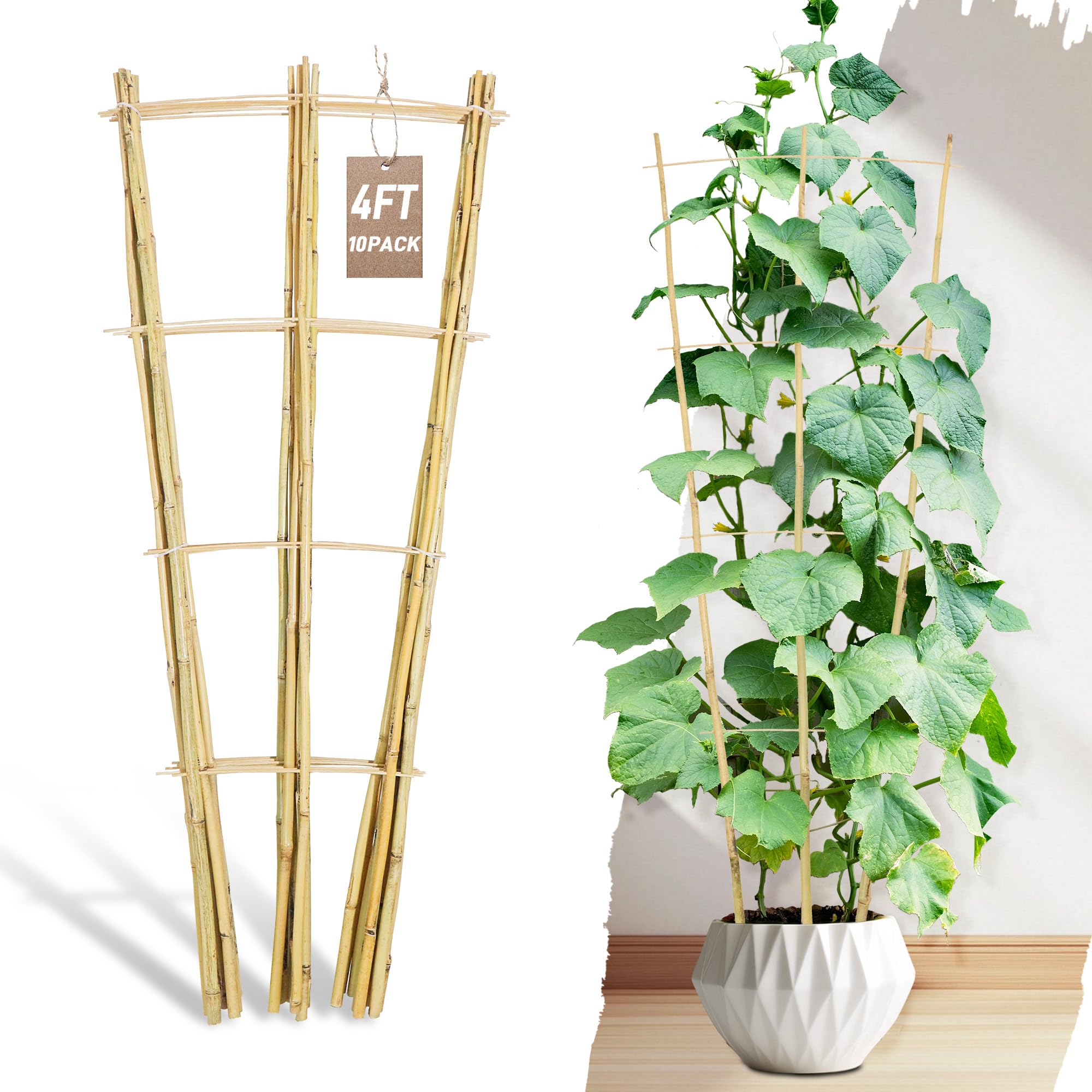Avalution Paquete de 10 enrejados de bambú para plantas trepadoras, enrejado de escalera de jardín de 4 pies para plantas en maceta de interior, enrejado de soporte de plantas pequeñas en forma de