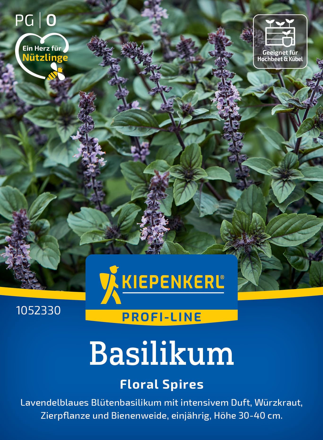 Kiepenkerl Profi-Line Basilikumsamen Floral Spires Lavendelblau 1052330 - lavendelblaues Blütenbasilikum mit intensivem Duft - Pflanzen, Saatgut, Kräutersamen