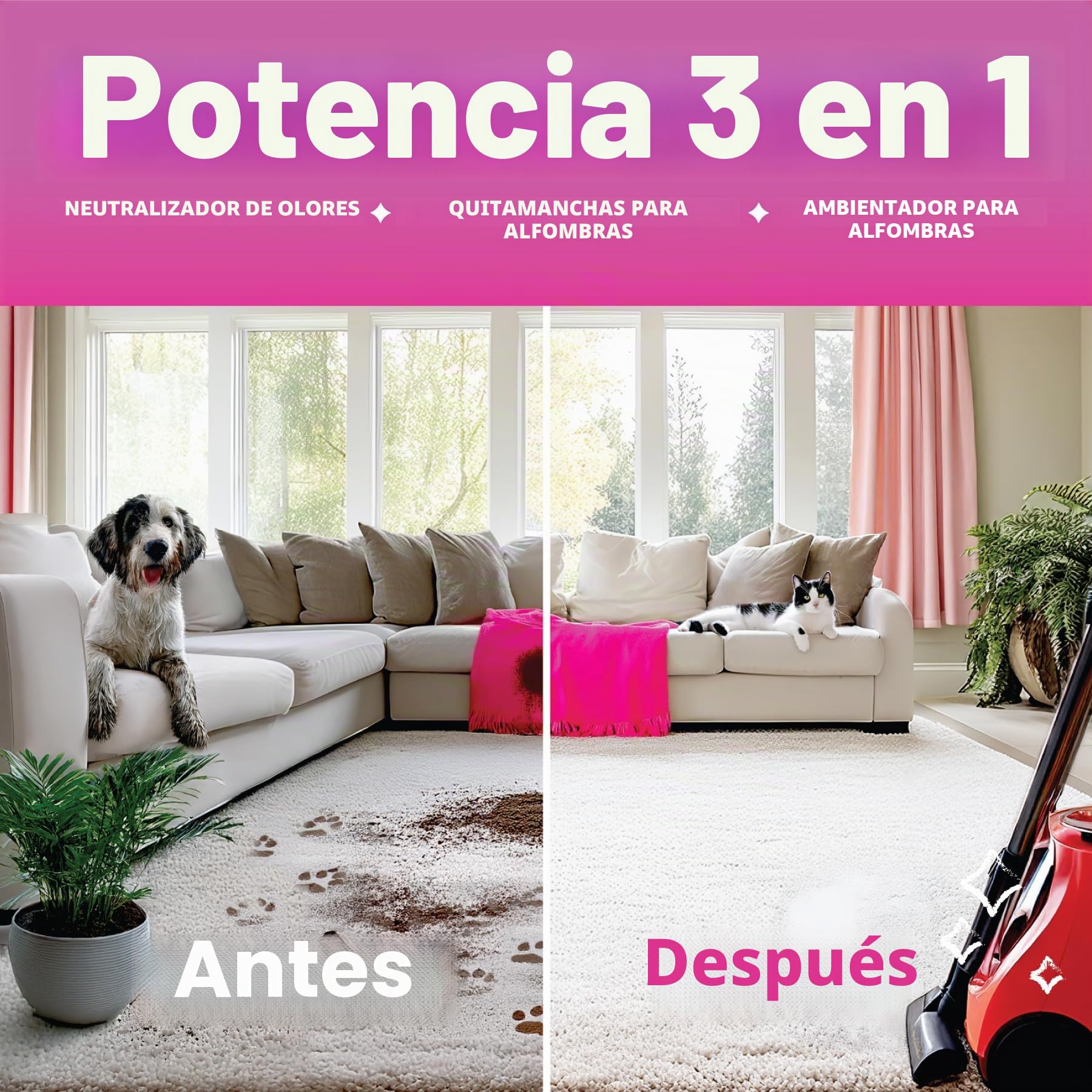 Dirtbusters Limpiador para Moquetas y Tapicerías 5L Fórmula Concentrada 3 en 1 Limpia y Desodoriza Moquetas y Tapizados. Elimina y Neutraliza los Malos Olores. Aroma Primaveral