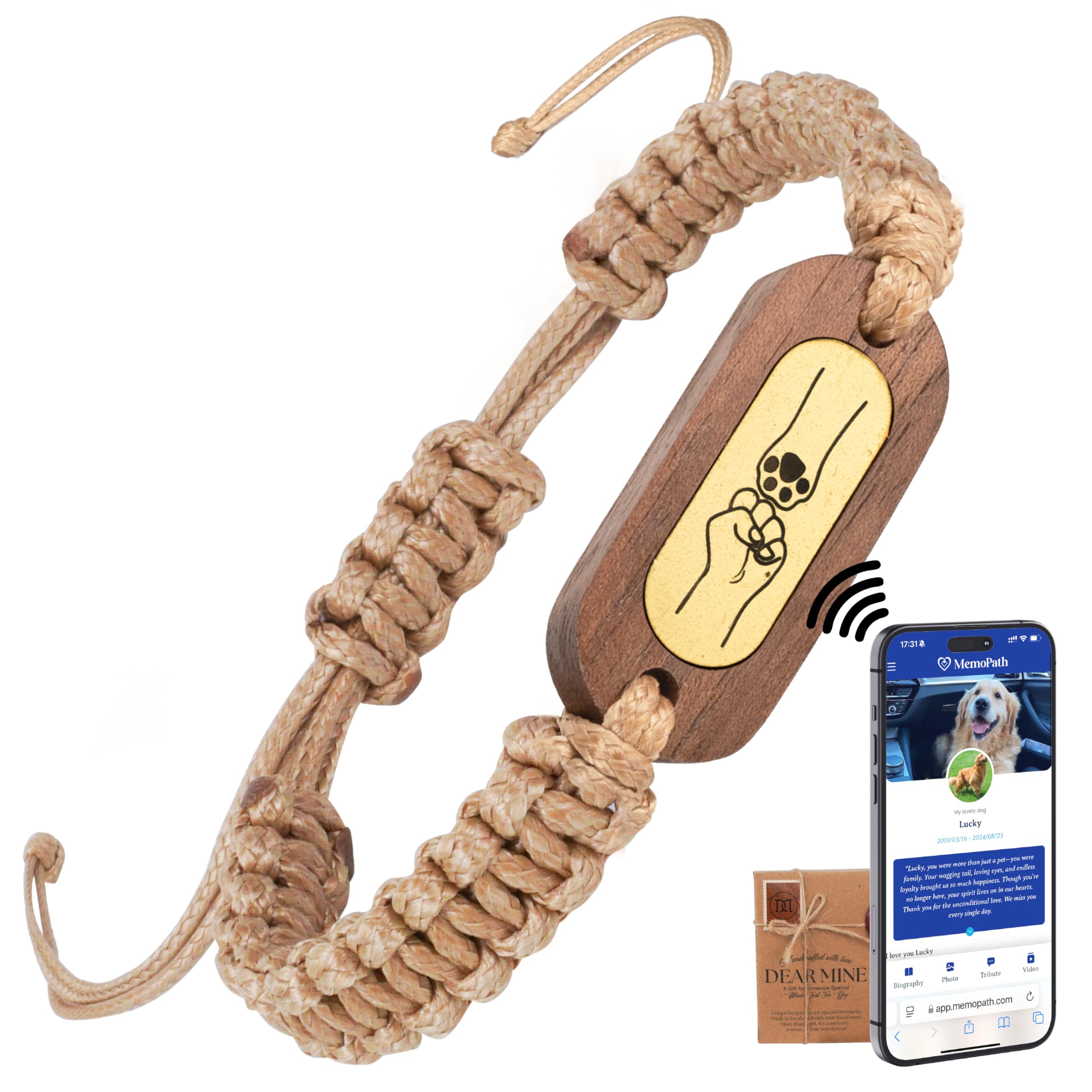 Pet Memorial Bracelet, Dog Bracelet, Dog Rainbow Bridge Gift, Bereavement for Pets, Dog Bracelets for Women, Sympathy Gift for Pet Loss, Thoughtful Memorial Gift for Loss of Dog (Pet Memorial Bracelet) (Pet Memorial Infinity)