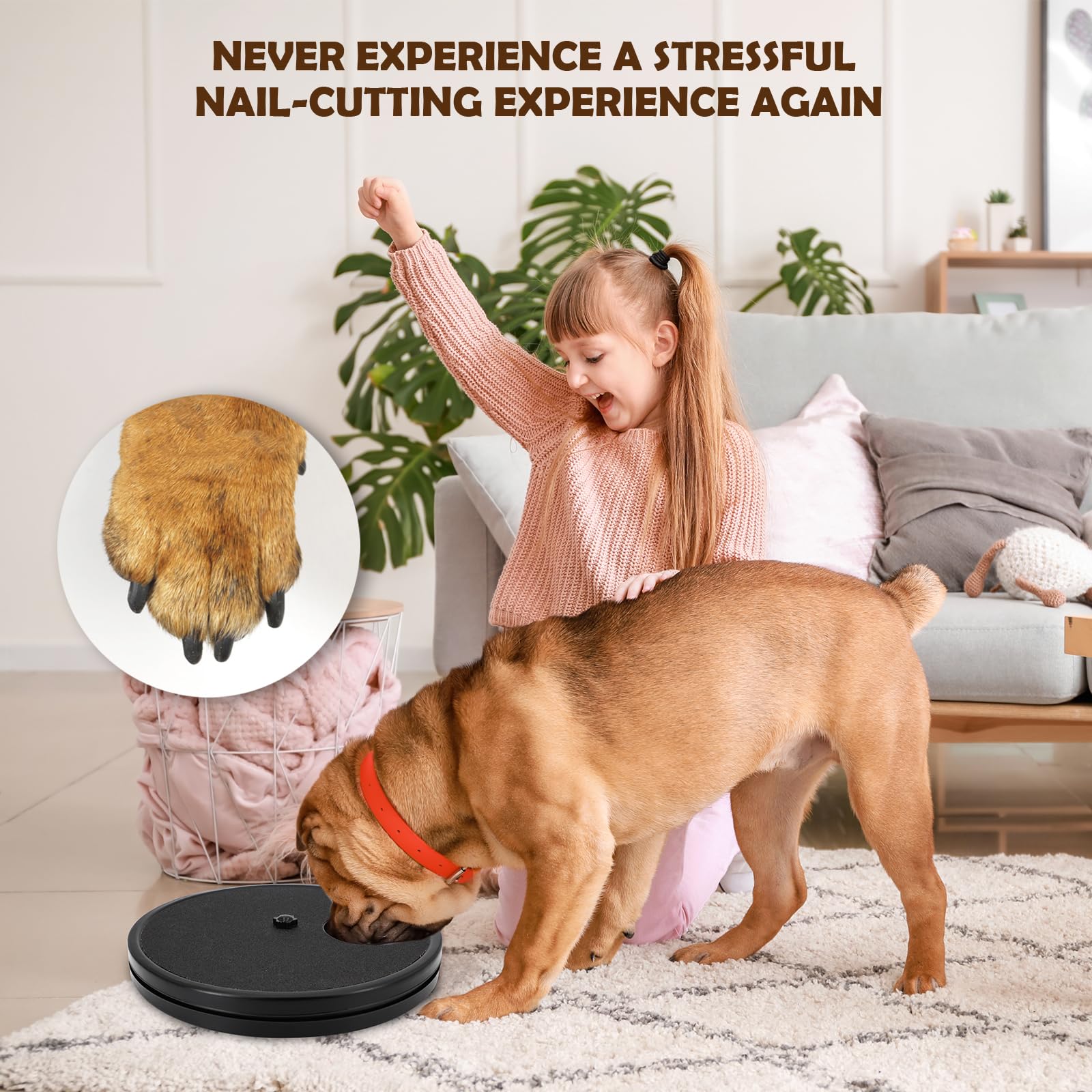 Tappetino per Unghie per Cani 3 in 1 – Lima e Grattugia Rotante con Scatola per Premi – Accessorio per la Cura delle Zampe Antiscivolo – Gioco Educativo Anti-Stress per Cani Piccoli e Grandi