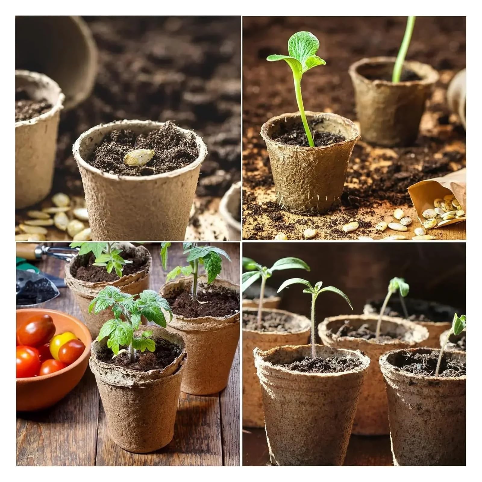 Générique 20 à 200 Pots Ronds en Tourbe for Jardin, Godets de semis, Plateaux Plantation for Herbes aromatiques et Outils(200PCS)