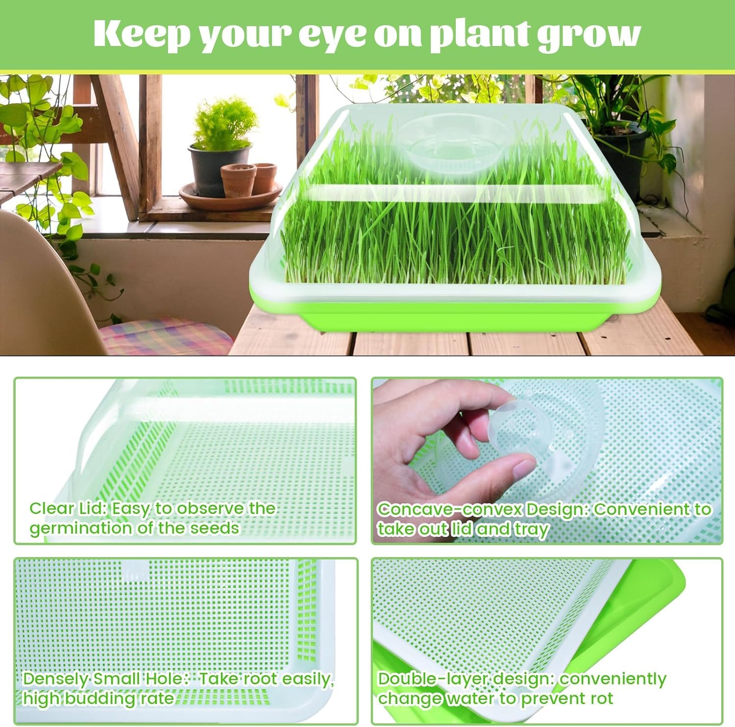 KAHEIGN 4 Pezzi Vassoi per Germinazione dei Semi con Coperchio, 32cm x 26cm Vassoio di Germinazione di Grande Capacità Propagatore Idroponico Sano Senza BPA con 24 Carte per Piantare per Coltivazione