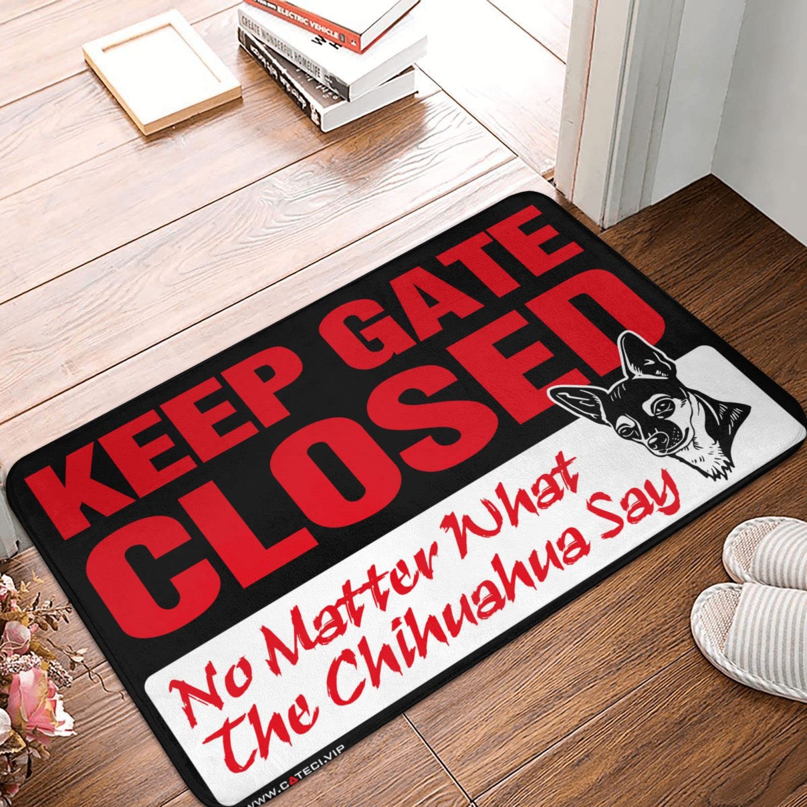 Tapis de porte extérieur été humour garde chien paillasson entrée 50x80 cm