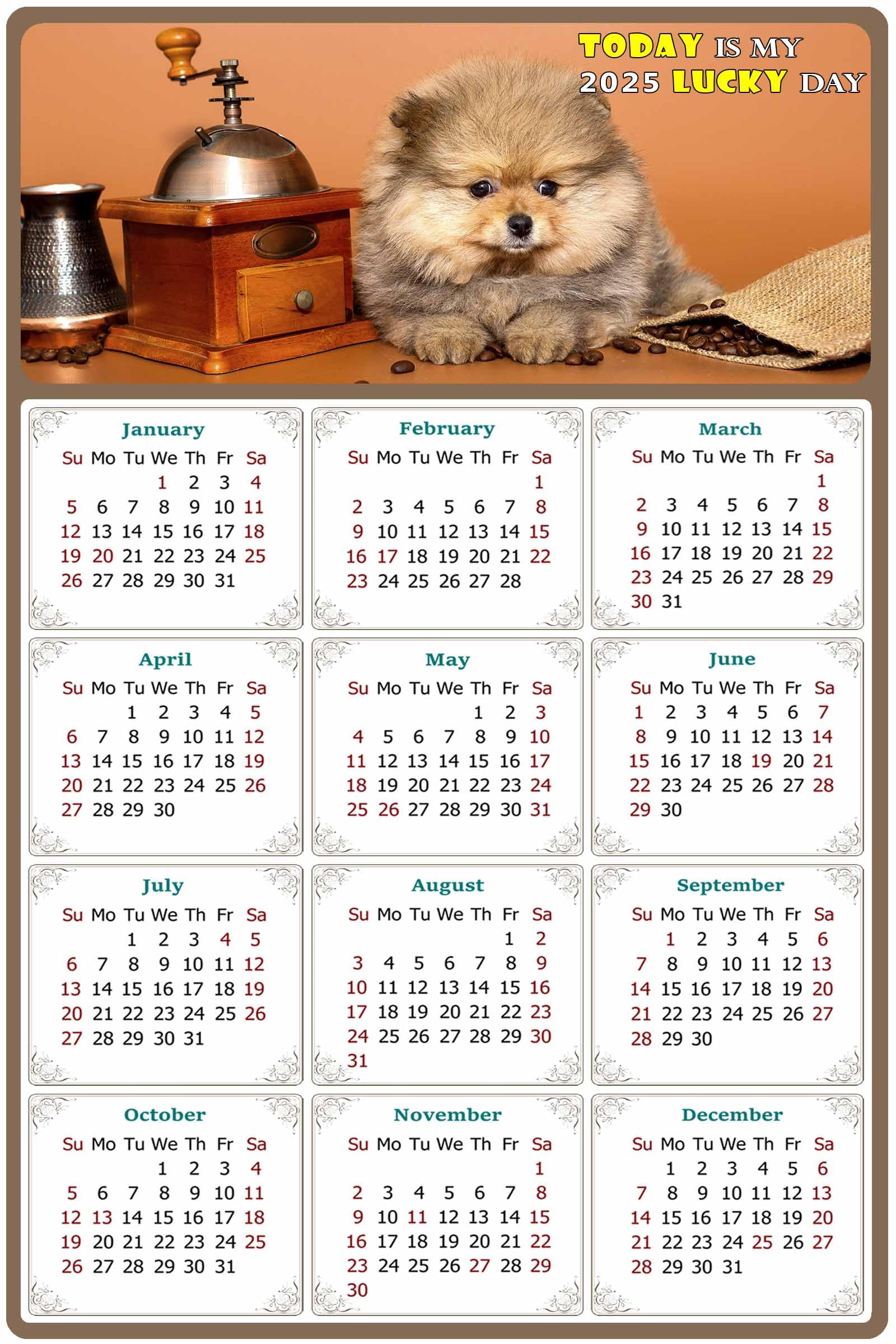 amazon-com-2025-peel-stick-calendar-today-is-my-lucky-day-removable-repositionable-fade-tear-water-resistant-remove-reuse-dogs-019-9-x-6-office-products