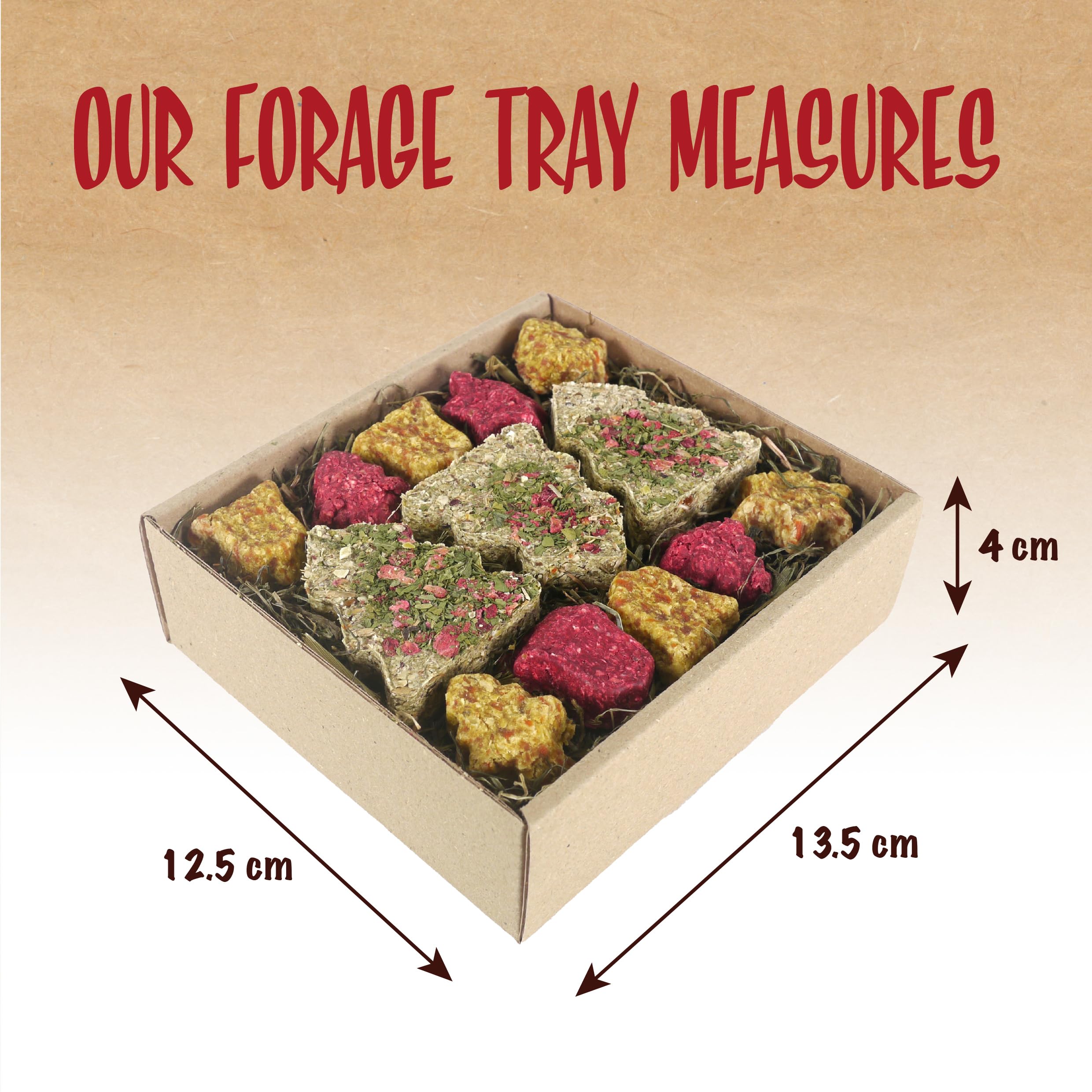 Rosewood Naturals Festive Cookies Forage Tray for Small Animals, Grain Free, 100% Natural and Healthy Treats with Hay - Image 3