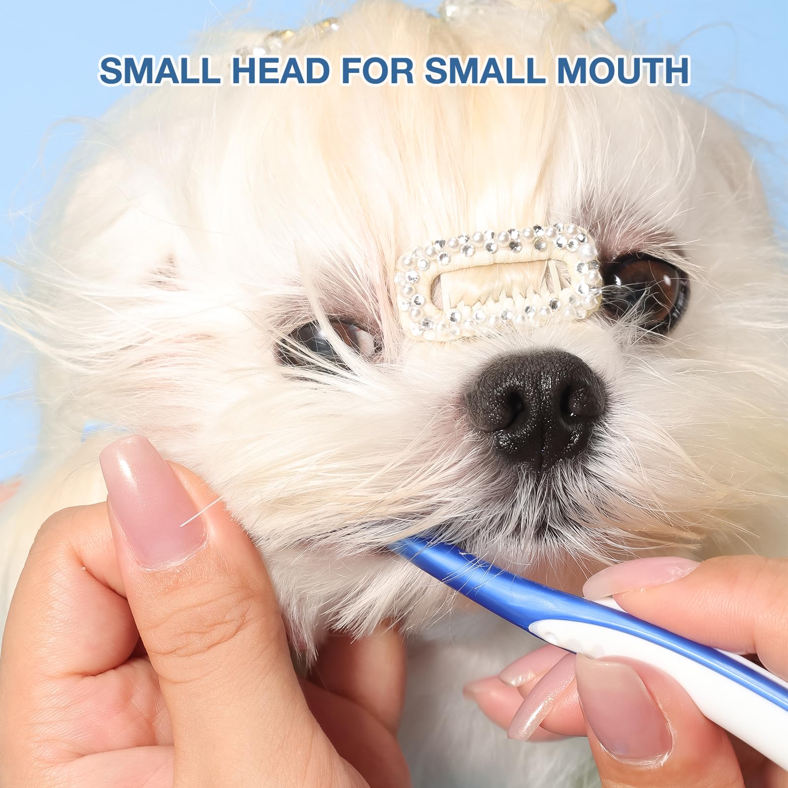 Kit di spazzolini da denti ultra morbidi per cani di razza piccola, in silicone 360, per cani e gatti, set di 3 diverse forme