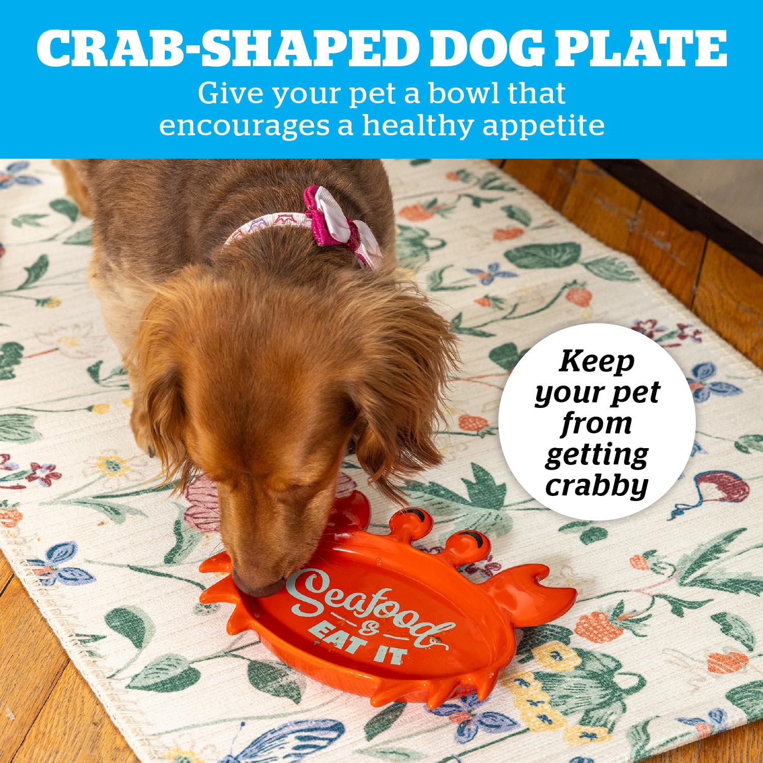 Shallow Whisker Fatigue Food Bowl Dish for Cats and Small Dogs, Easy to Clean Pet Plate, Fun Feeding Platter - Crabby Cravings