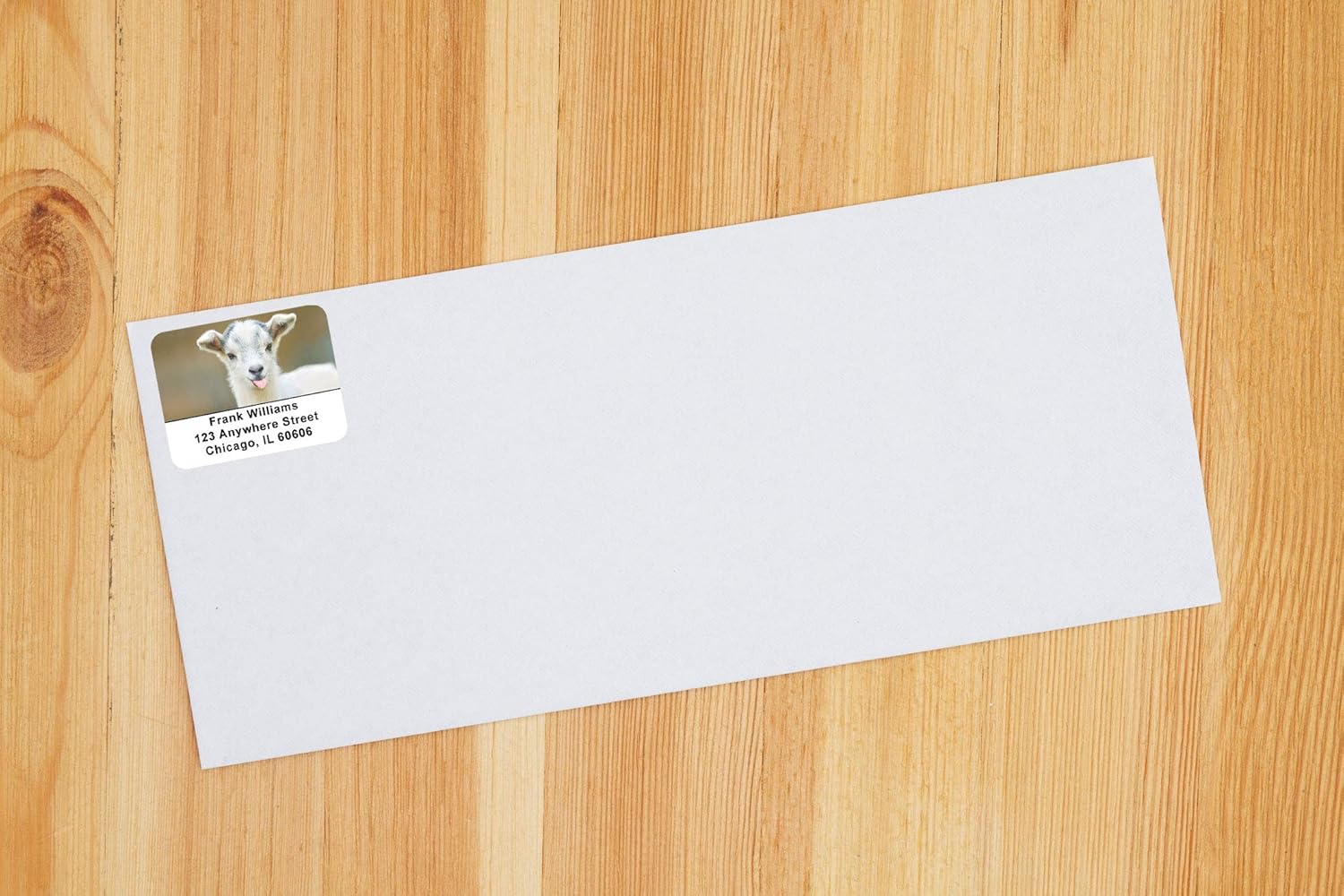Kid Goats Address Labels